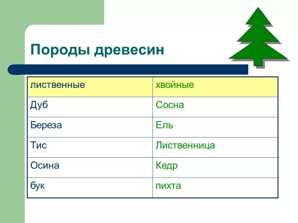 Деревья лес свойства деревьев. Породы древесины. породы деревьев технология 5 класс. таблица породы древесины 5 класс. породы древесины 5 класс технология.