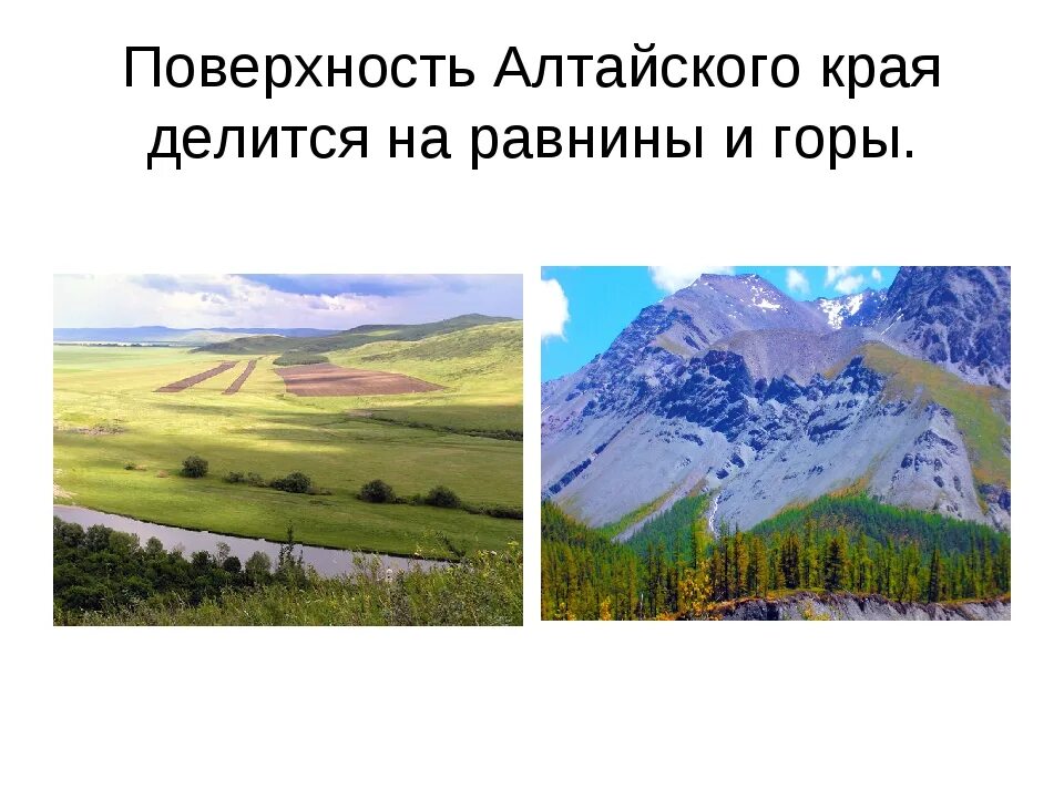 Мир алтайского края. Основные формы земной поверхности алтайского края. горы алтая. равнина. природа алтая.