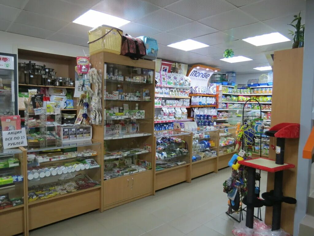 верные друзья зоомагазин хабаровск. зоомагазин ветаптека. тольятти свердлова 17а зоомагазин жёлтый слон. ветеринарная аптека хабаровск. зоомагазин в хабаровском крае город бикин.