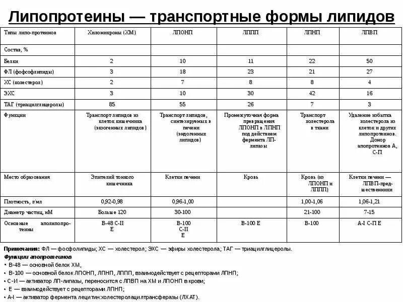 Липиды липопротеины. Строение липопротеидов биохимия. Характеристика липопротеидов. Триглицериды и фосфолипиды. Простой белок.
