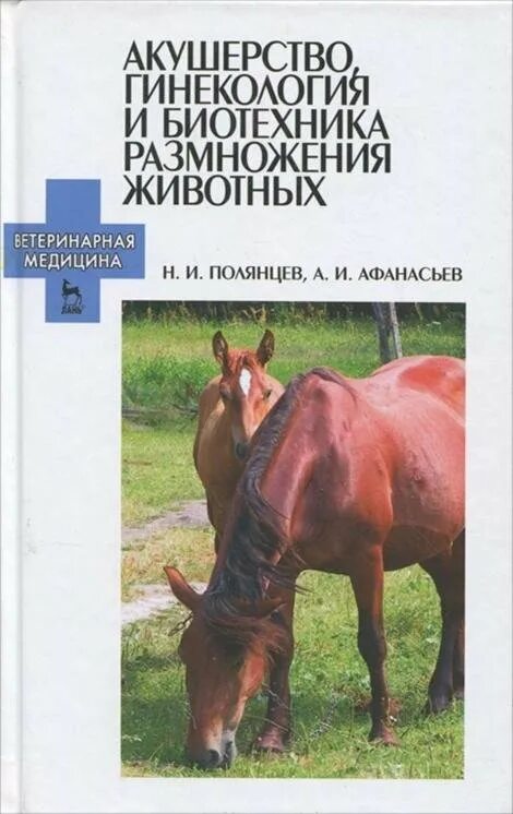 Акушерство и биотехника размножение. Биотехника размножения животных. Акушерство и биотехника размножение. Акушерство и биотехника размножение. Ветеринарное акушерство и гинекология.