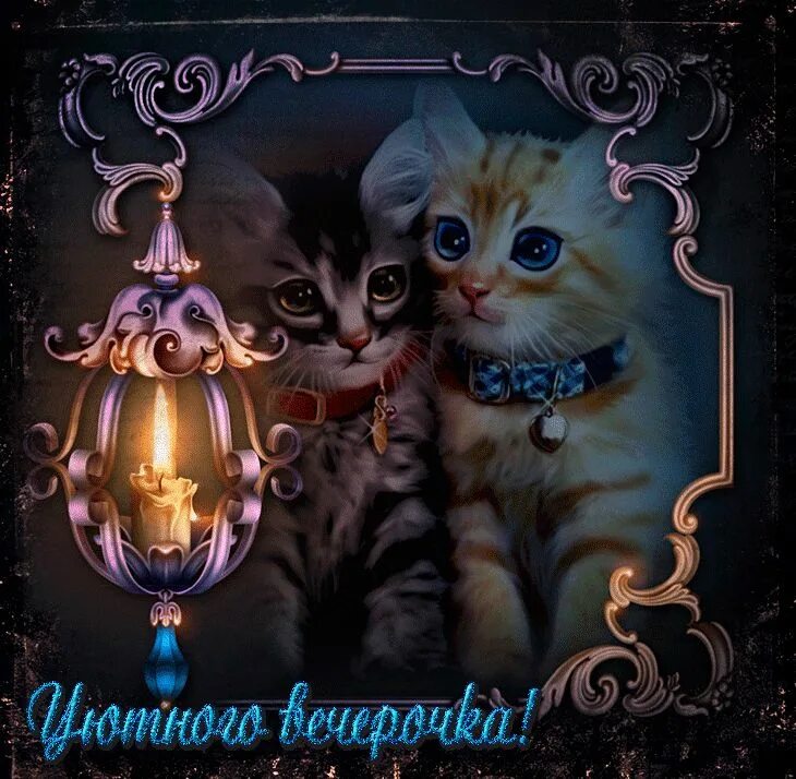 Доброго вечера доброй ночи картинки мерцающие. Доброго вечерочка и спокойной ночи. добрый вечер с котятами. открытки добрый вечер. доброго уютного вечера.