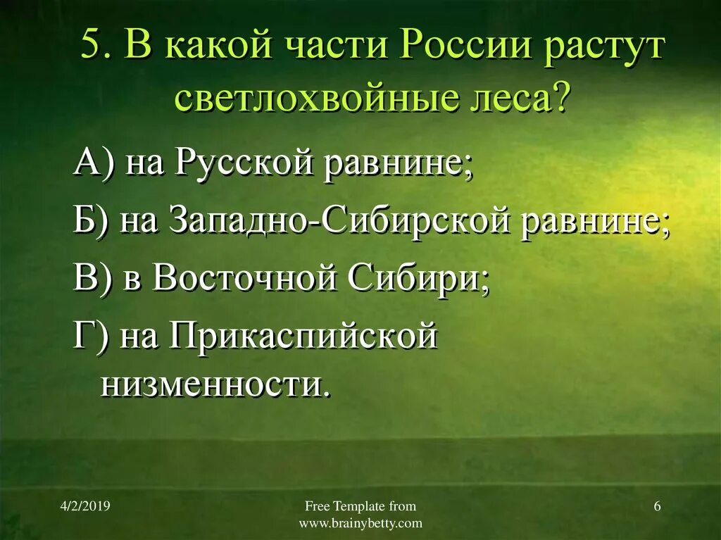 Россия или растя. В какой части России растут светлохвойные леса. Органический мир русской равнины. Светлохвойные Лесные ресурсы Западной Сибири. Какие растения растут в Западно сибирской равнине.