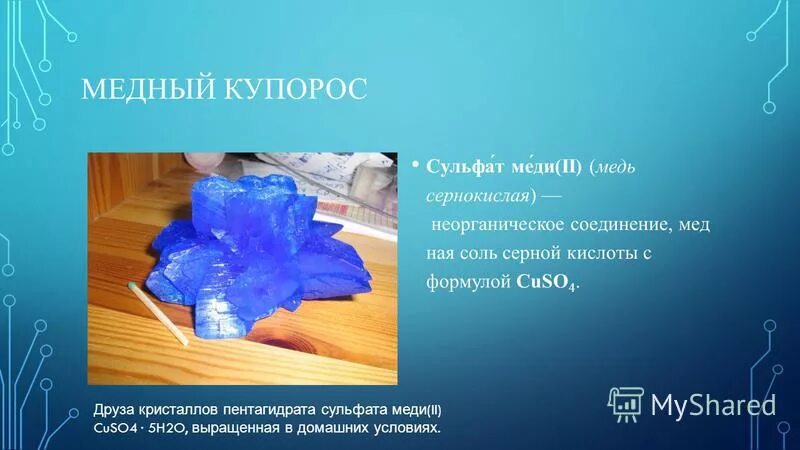 сульфат меди лекарственный препарат. форма кристаллов медного купороса. лечение медным купоросом. влияние медного купороса на организм человека. медный купорос антидот.