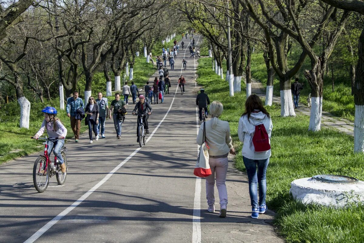 Одесская дорога. Дорога здоровья Одесса. Одесса тропа здоровья. Одесса трасса здоровья фото. Велосипеды на аллее здоровья.