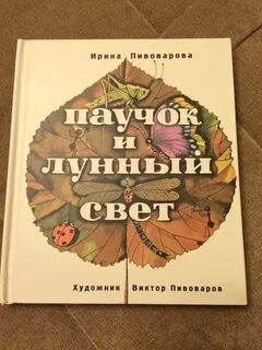 Основная мысль текста паучок и лунный свет