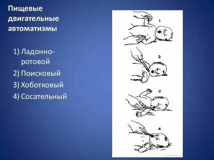 Ладонно ротовой рефлекс