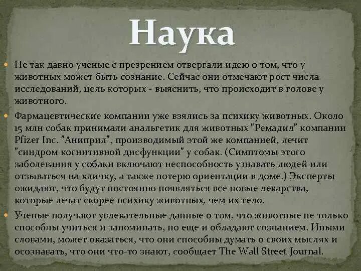 Сознание у животных. Есть ли у животных сознание кратко. обладают ли животные сознанием. сознание у животных философия. элементы сознания у животных.