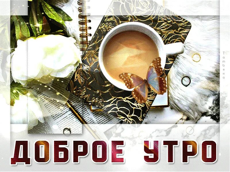 Снова добрый день. И снова доброе утро. и снова здравствуйте доброе утро. и снова всем доброе утро. опять доброе утро.