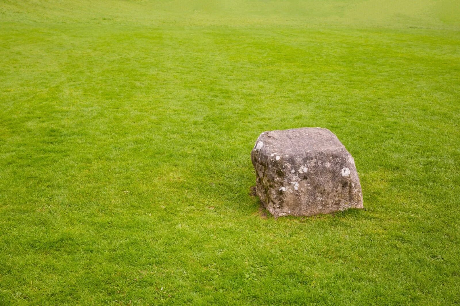 Камни на газоне. Камни в траве. Булыжники на газонной траве. Булыжник и газон. Their stones