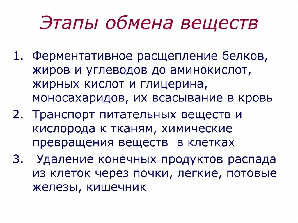 Этапы обмена веществ. Основные этапы обмена веществ в организме. Основные этапы метаболизма. Основные стадии обмена веществ. Спасис обмена