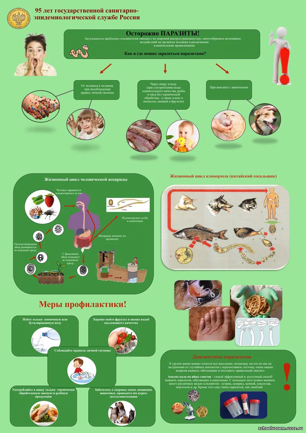 меры профилактики и конкретными паразитами. памятка меры профилактики заражения червями-паразитами. меры профилактики и конкретными паразитами. памятка по профилактике паразитарных заболеваний. меры профилактики и конкретными паразитами.