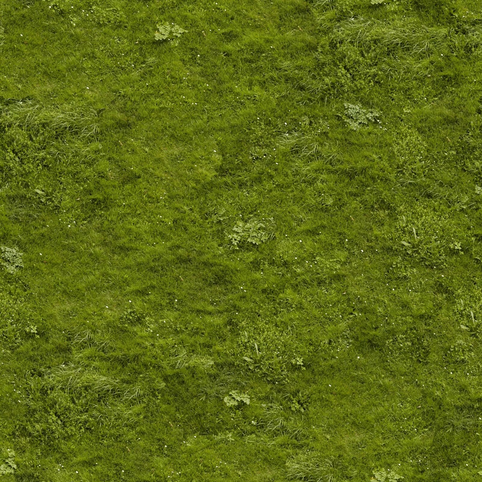Unity texture