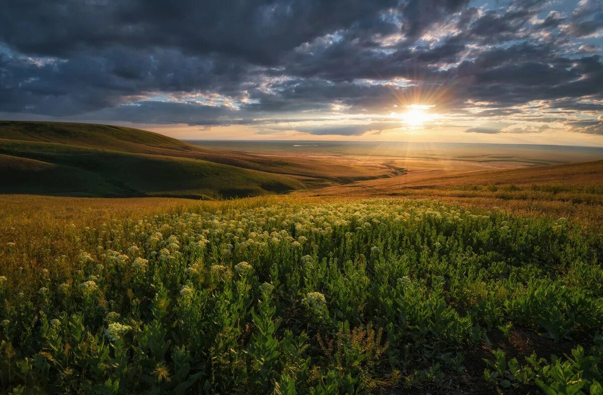 Шарчинская степь. Шарчинская степь. Полу степи. Небраска равнины. Полу степи.