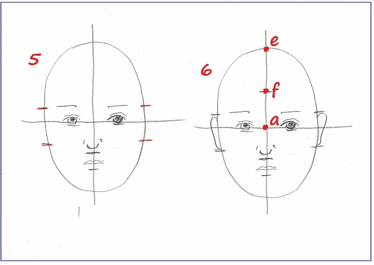 Поэтапное рисование лица. Лицо для рисования. Схема лица человека для рисования. Пошаговое рисование лица человека. Как нарисовать лицо человека поэтапно для начинающих