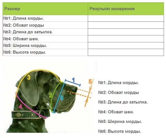 Триол намордник пластиковый. Размер морда. Подобрать размер намордника для собаки. Размерная сетка для собак мелких пород джек рассел. Размеры намордников для собак.