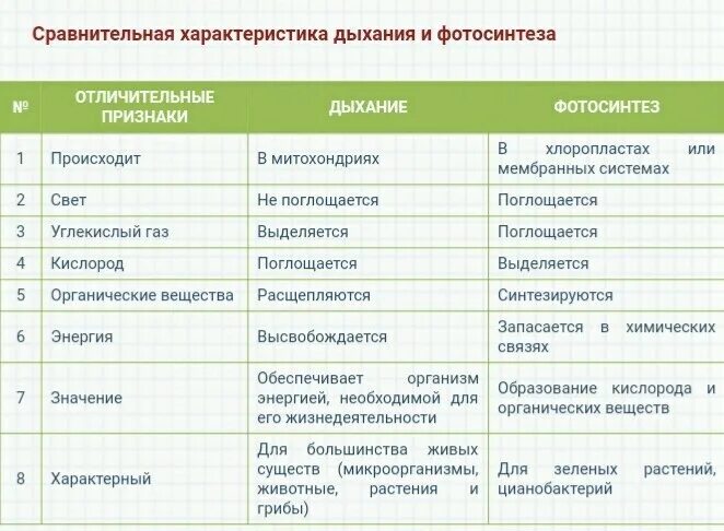 Сравнительная характеристика двух лиц. Сравнительная характеристика. Сравнительная характеристика Эр. Сравнительная характеристика одноклассников. Сравнительная характеристика моделей образования.