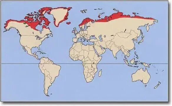 Полярный ареал. Ореол обитания белых сов. полярная сова ареал обитания. полярная сова ореол обитания. белая сова ареал обитания.