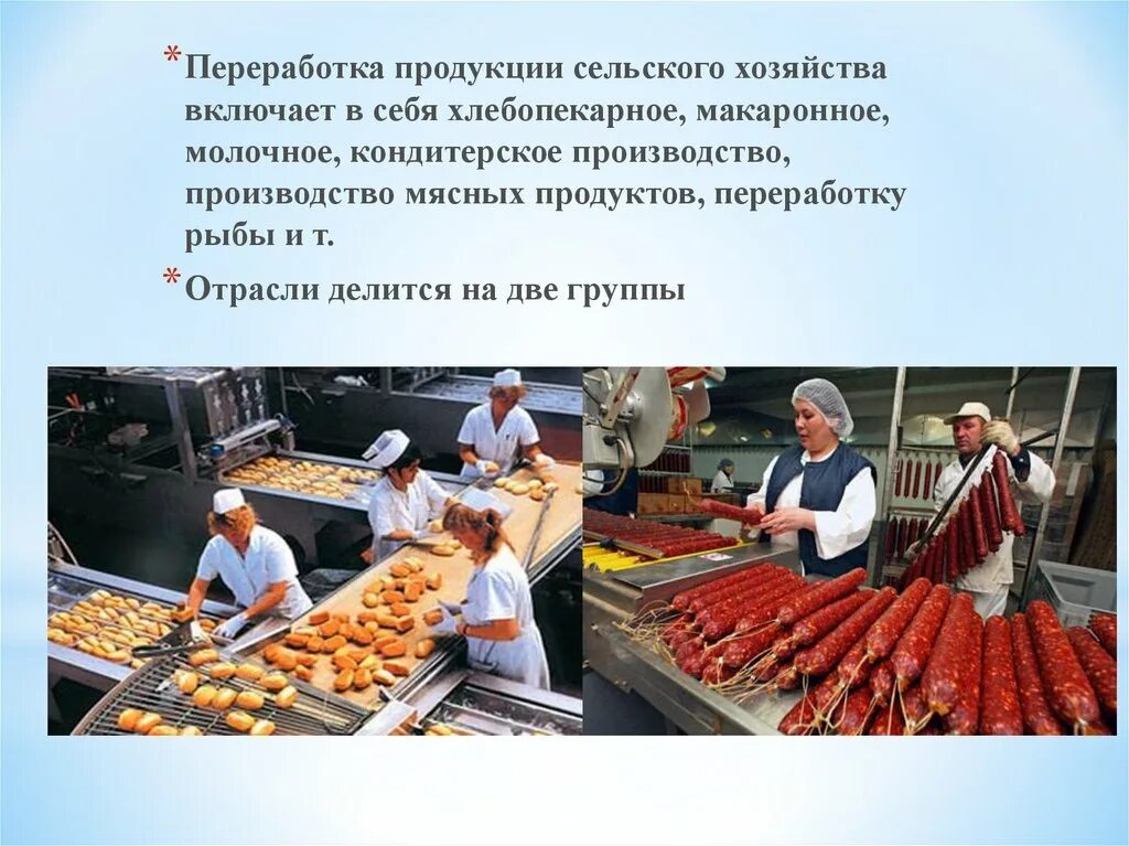 Переработка сельскохозяйственной продукции. Пищевая и перерабатывающая промышленность. Сельское хозяйство и пищевая промышленность. Обрабатывающая пищевая промышленность.