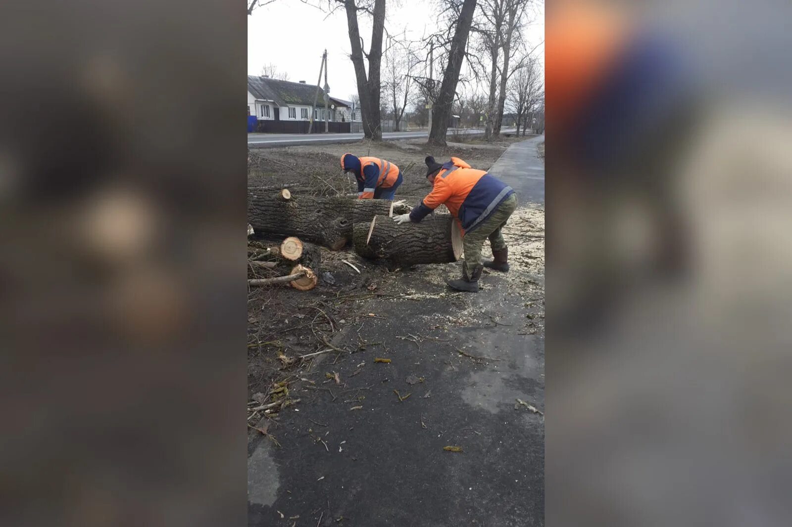 Ветер последствия. Последствия сильного ветра. Ураган в Брянске. Ураган в Брянске в 2017 году. Сильный ветер его последствия.