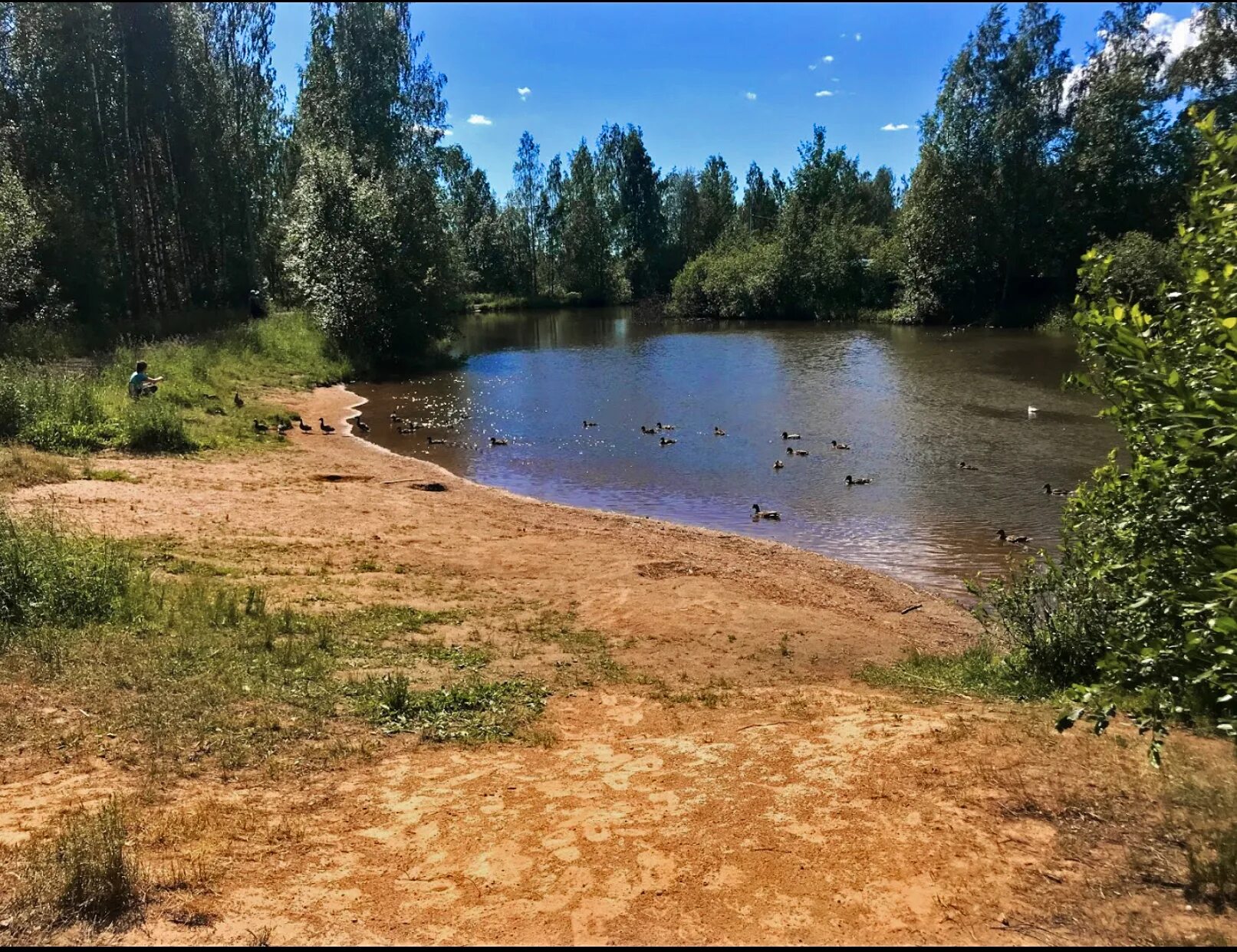 пенсионерные конюшни царское село. серпуховский район карта. левашово серпуховский район мо. левашово серпуховская. левашово серпуховский район на карте.