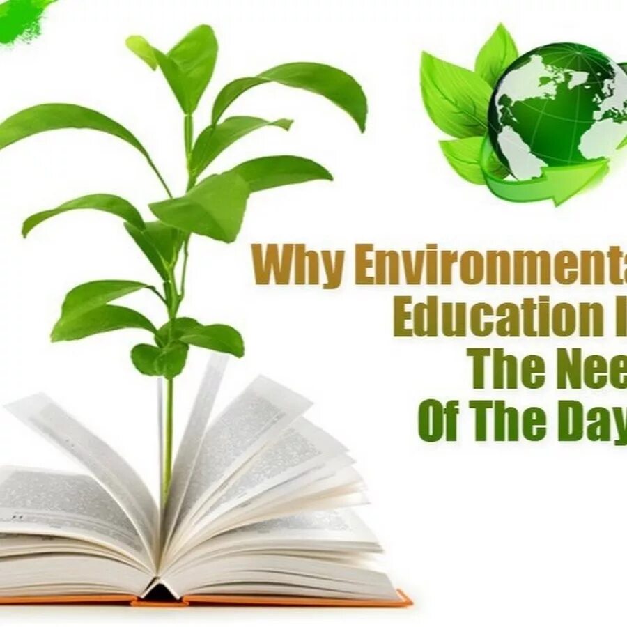 Consider the environment. Environment education day. environmental awareness ответы на тест. environmental today книга. environment is.