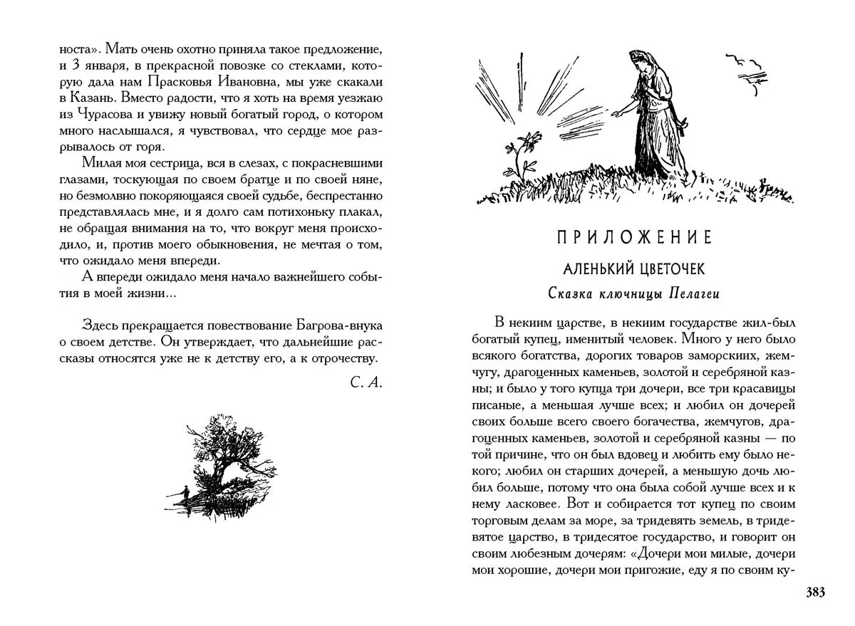 Вдовец рассказ. С.Аксакова "детские годы Багрова-внука".. Книга детские годы Багрова внука.