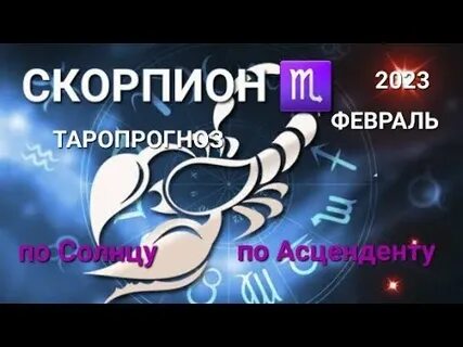Скорпион февраль