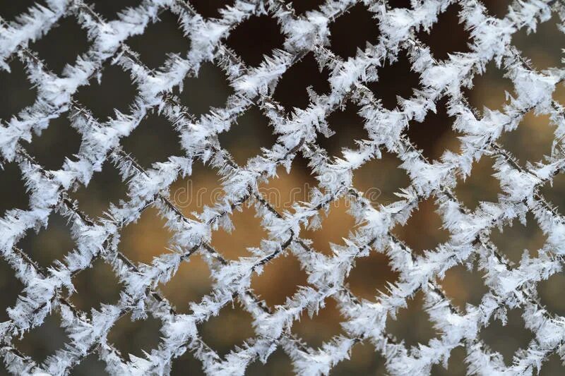 Зимние сетки. Сетка маскировочная белая 2х2. Зимние сетки. Маскировочная сетка белая. Мкт-2с маскировочный комплект.