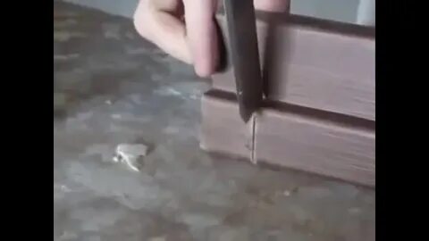Запил коробки под дверь