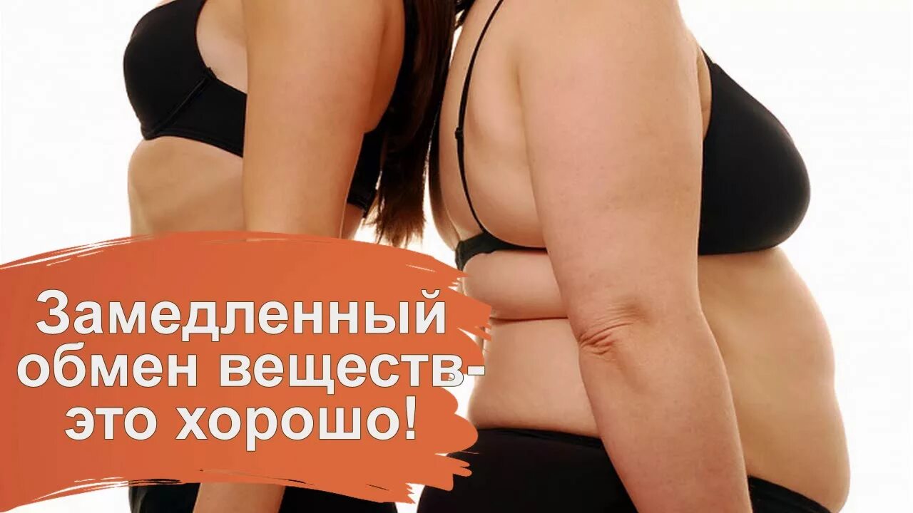 Замедление метаболизма у животных. Замедленный обмен веществ. метаболизм замедляется. признаки медленного метаболизма. причина замедления обмена веществ.