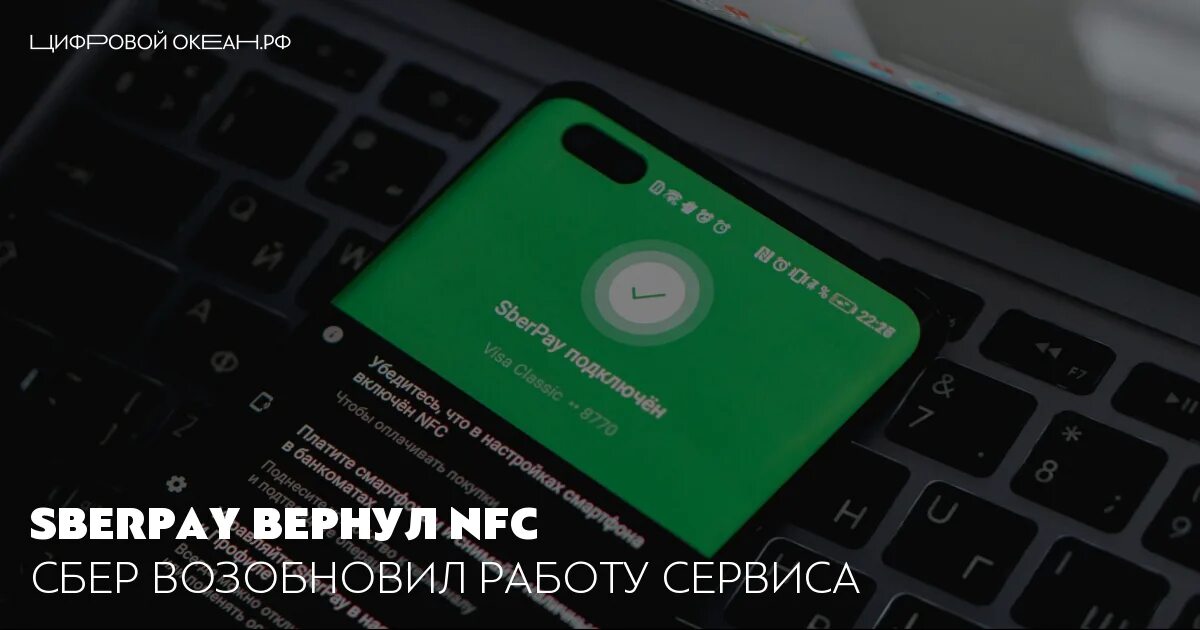 Sberpay не работает. Sberpay не работает