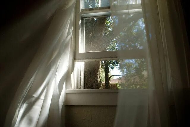 Окно ветер фото yup... this is something I would love to see outside my window in the warm month