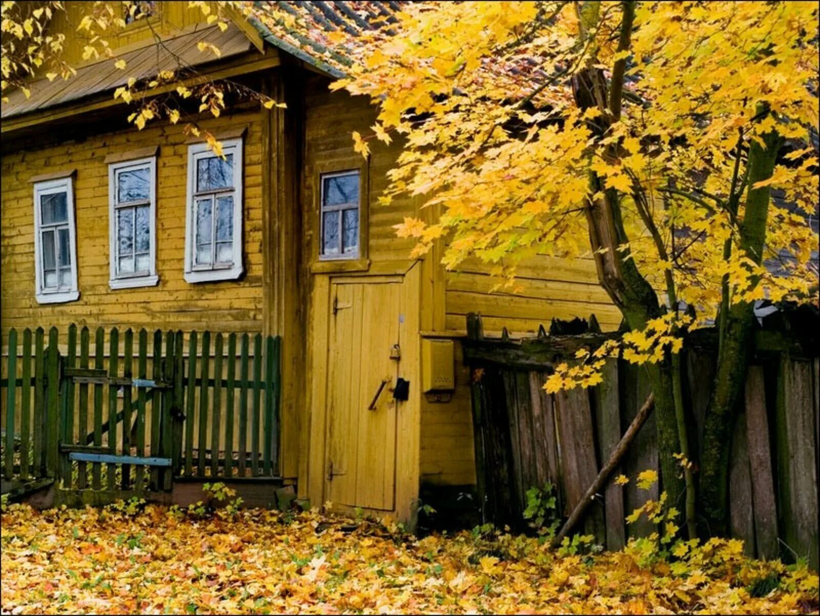 Старый дом желтый. Деревенский дом осенью. осень в деревне. деревенский домик осенью. осенние деревенские домики.