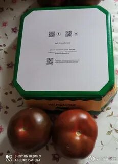 Томат кумато характеристика и описание сорта фото