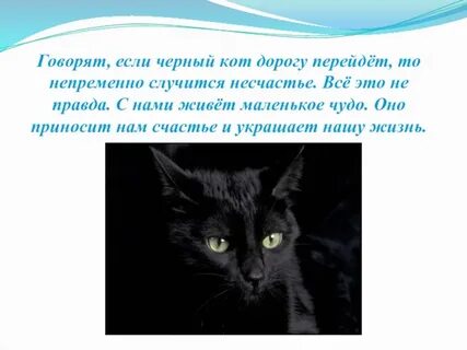 Песня если черный кот дорогу