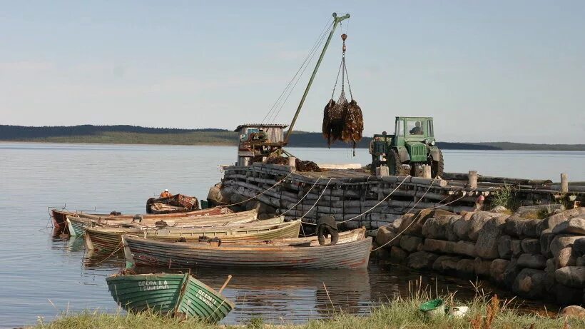 Архангельске водоросли