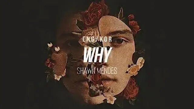 Why why why mendes