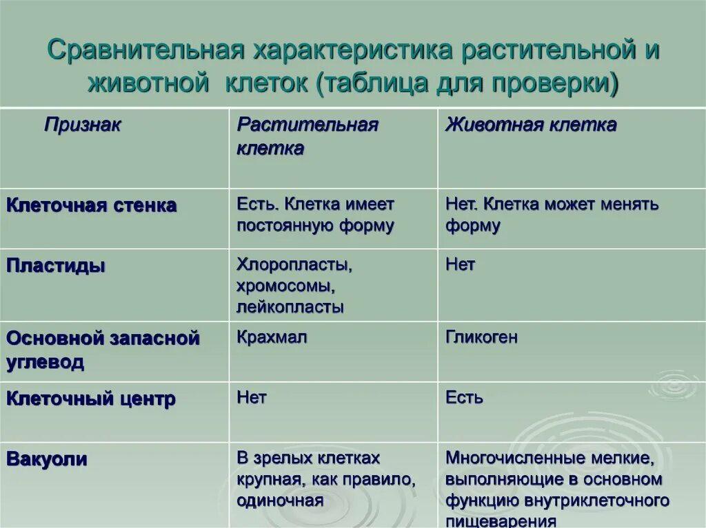 Признаки растительной и животной клетки таблица