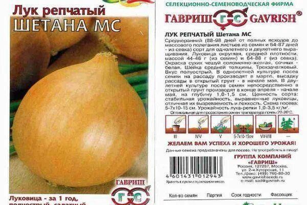 Лук бессоновский описание сорта отзывы. Лук севок шетана. лук севок шетана описание сорта. семена лук репчатый шетана мс.
