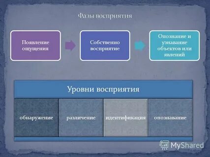 Этапы восприятия