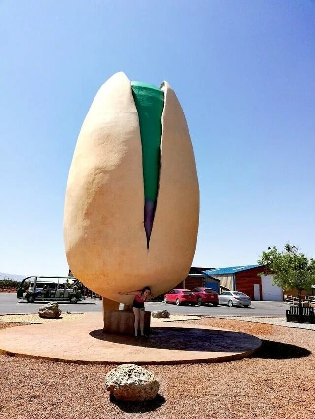 самый большой предмет. гигантские вещи. самый большой предмет. музей ордос ордос, китай. самые большие вещи.