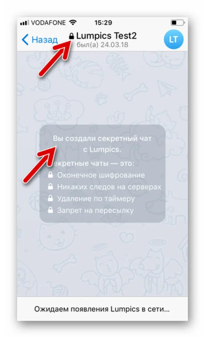 Как удалить секретный чат на айфоне. Секресерый чат в телеграм. Секретный чат в телеграмме. Секрет чат в телеграмме. Секретный чат в телеграмме на айфоне.