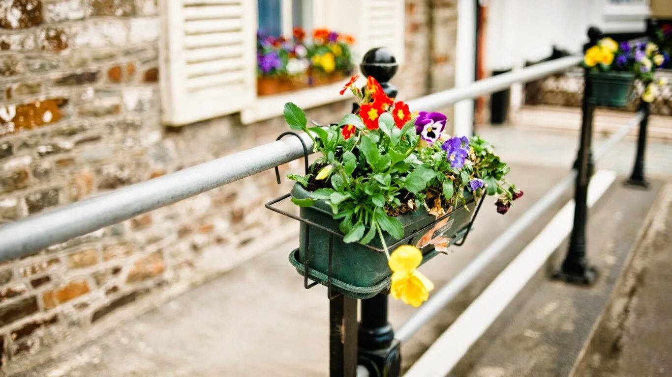 Street of flowers. Цветы в горшках на улице. Цветы на улицах города. Цветы в кашпо для улицы. Городские цветы.