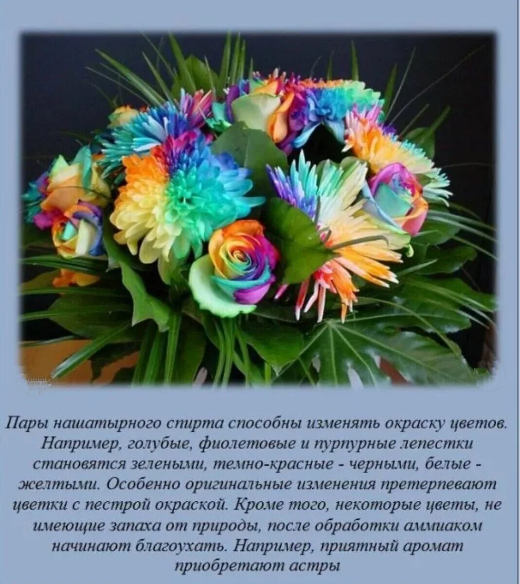 Интересные факты. Познавательные факты о самом интересном. Интересные познавательные факты. Удивительные факты. Биология для 6 класса факты.