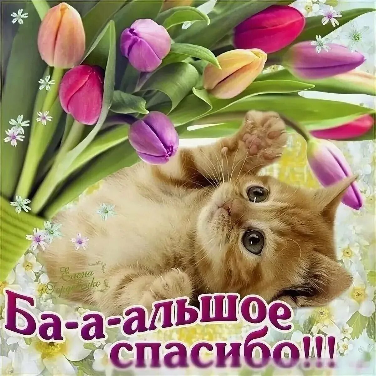 Скопировать спасибо. Спасибо большое. открытки с благодарностью. открытки спасибо большое. открытки с благодарностью спасибо.