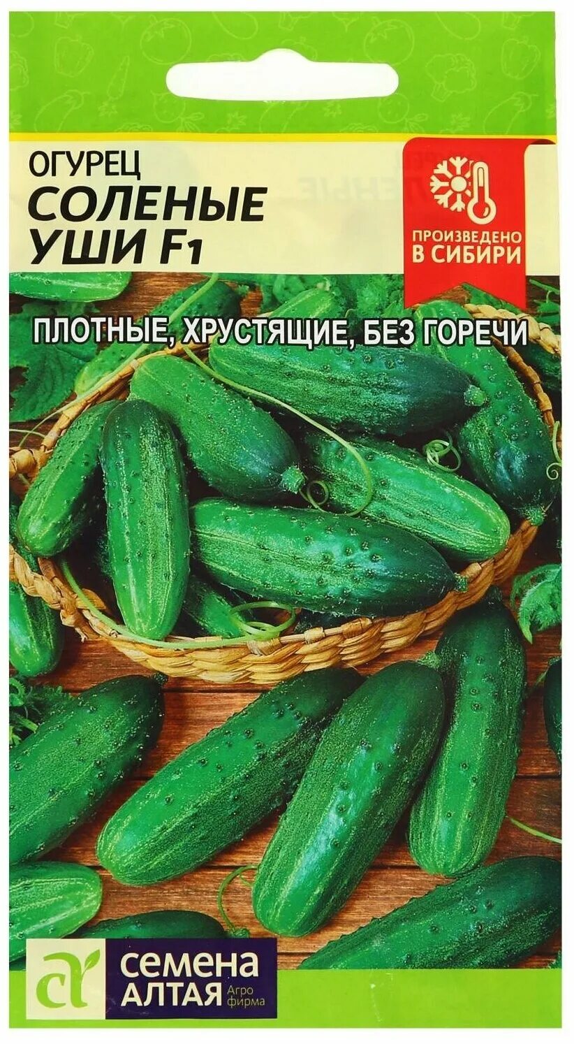 Семена алтая огурцы для теплицы. Алтайский зозуленок огурец. Огурцы сорт алтай. Огурец соленые уши f1. Корнишоны алтай.