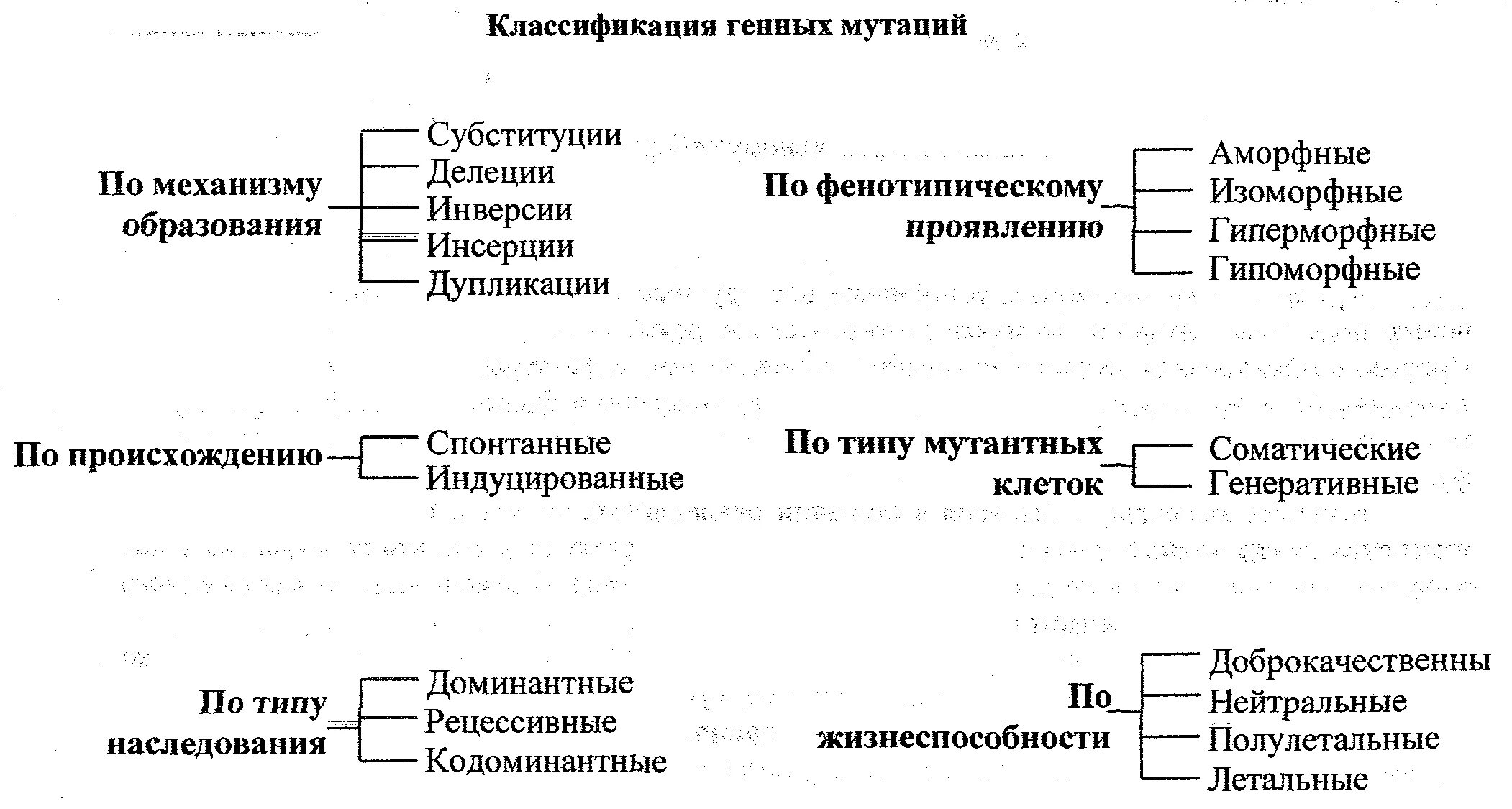 Установите соответствие мутации