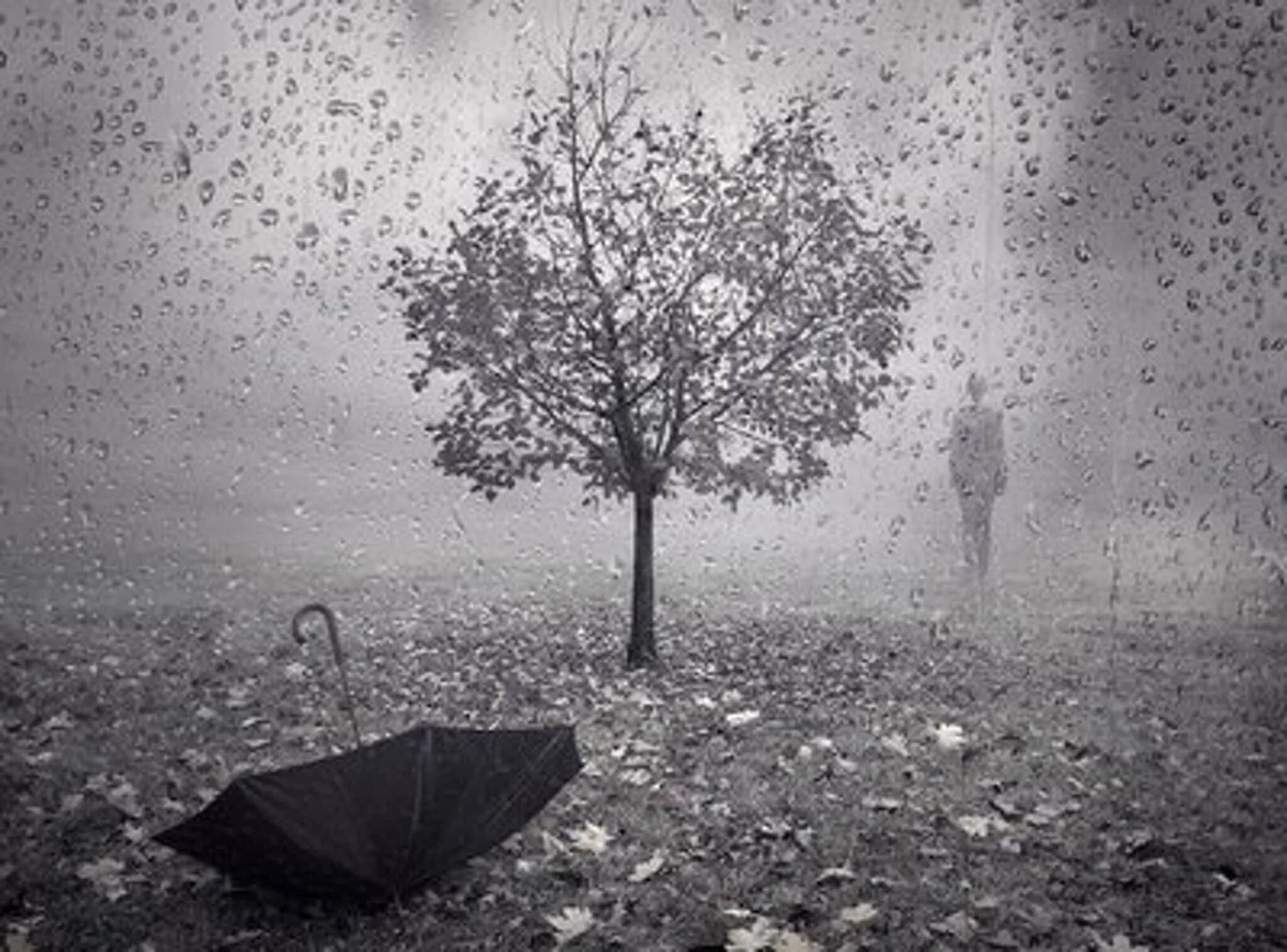 Серая осень. Грустные картинки. Дождь одиночество. Это грусть. Серый день и серый ветер