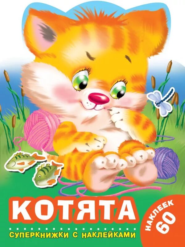 Котенок с книгой. Котёнок с книжкой. Книга мой котенок. Моя первая книжка. Книга мой котенок.